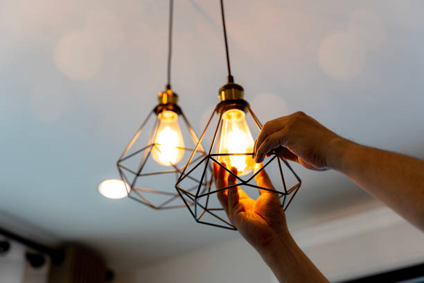 Best Electric Panel Repair  in Burnet, TX