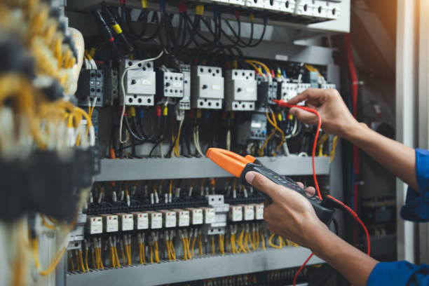 Best Electric Panel Repair  in Burnet, TX